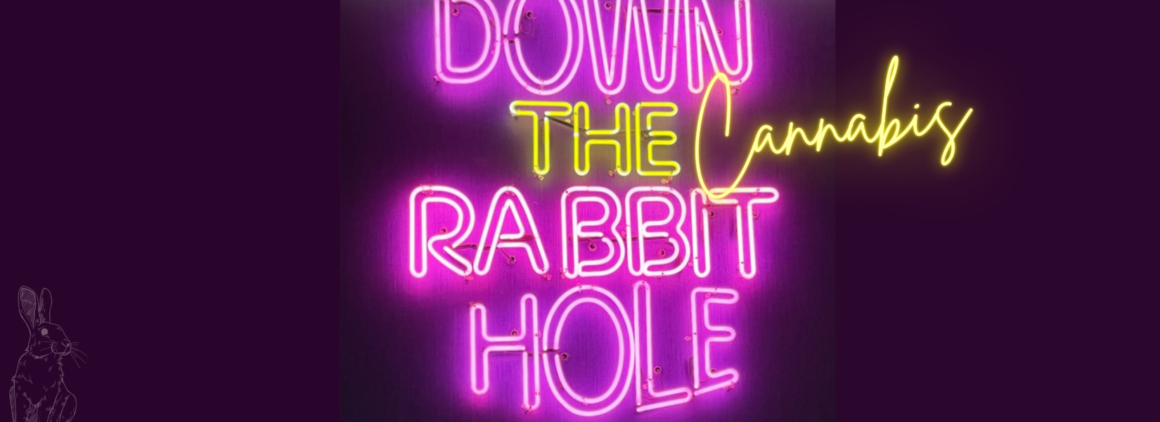 Down the Rabbit Hole: My Cannabis Journey and Exciting New Horizons