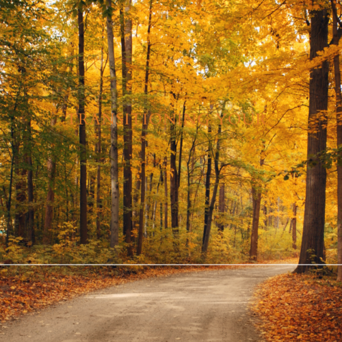 Embrace the Season: Essential Tips for Transitioning Your Routine for Fall