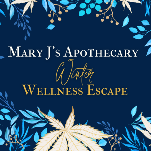 Mary J’s Apothecary Winter Wellness Escape event banner with elegant blue and gold botanical design, featuring cannabis leaves and winter foliage.