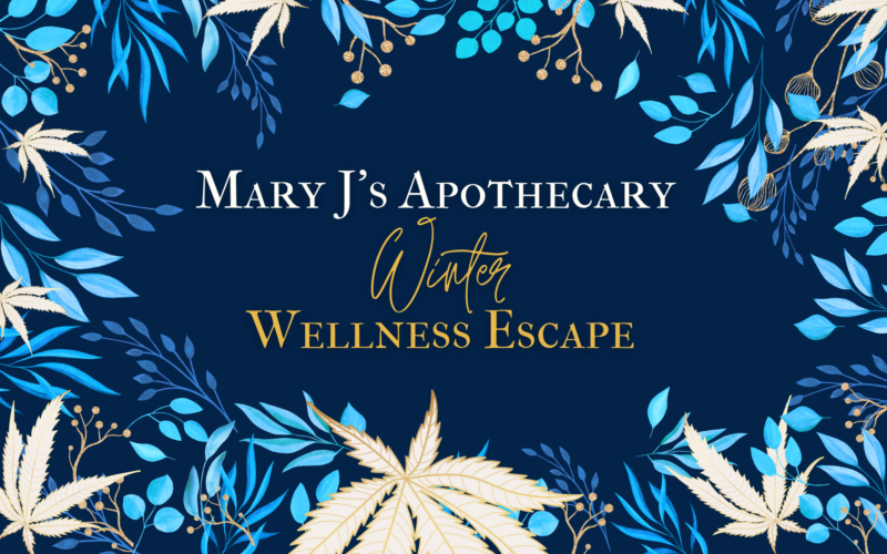 Mary J’s Apothecary Winter Wellness Escape event banner with elegant blue and gold botanical design, featuring cannabis leaves and winter foliage.