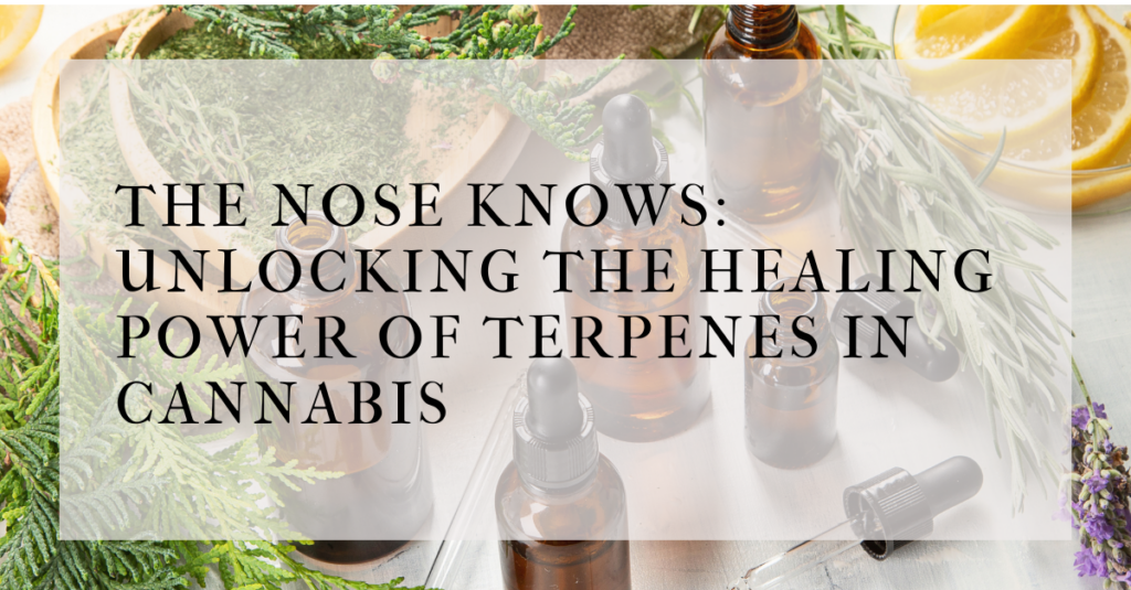 terpenes and wellness